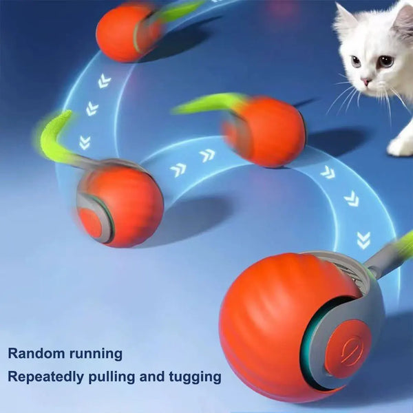 Speedy Spielball für Katzen