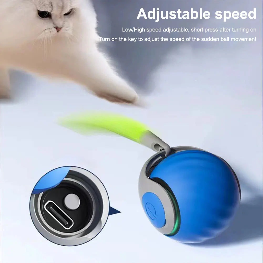 Speedy Spielball für Katzen